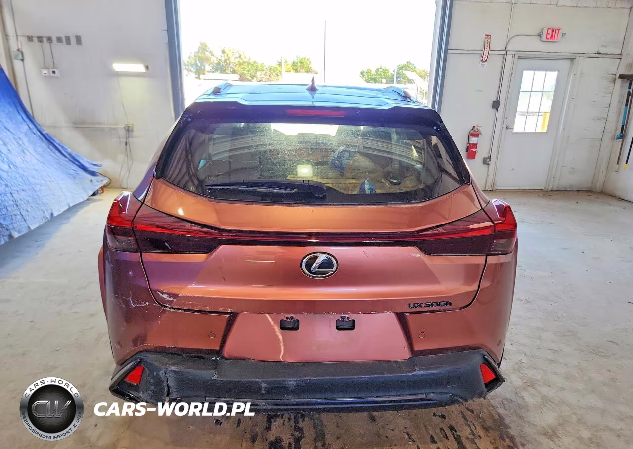 2025 Lexus Ux 300H F Sport Handling VIN:JTHYBJAH1S2013966 - 6