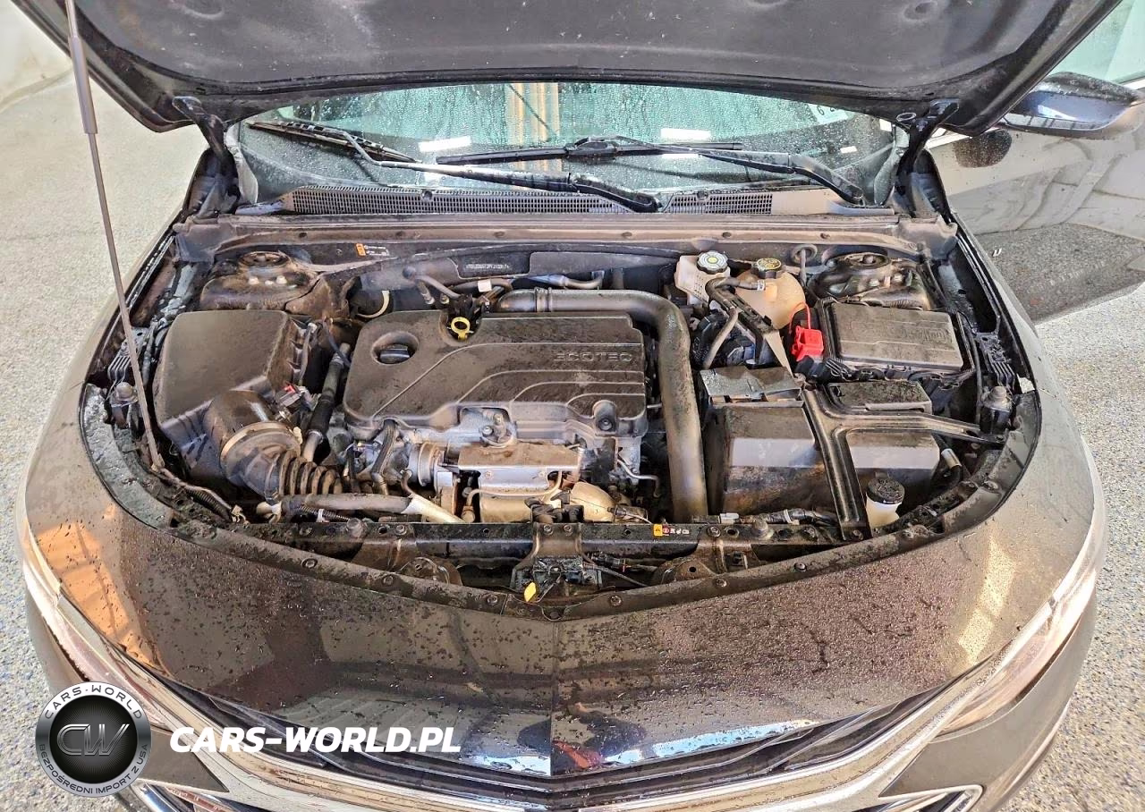 2023 Chevrolet Malibu Lt VIN:1G1ZD5ST2PF212317 - 11