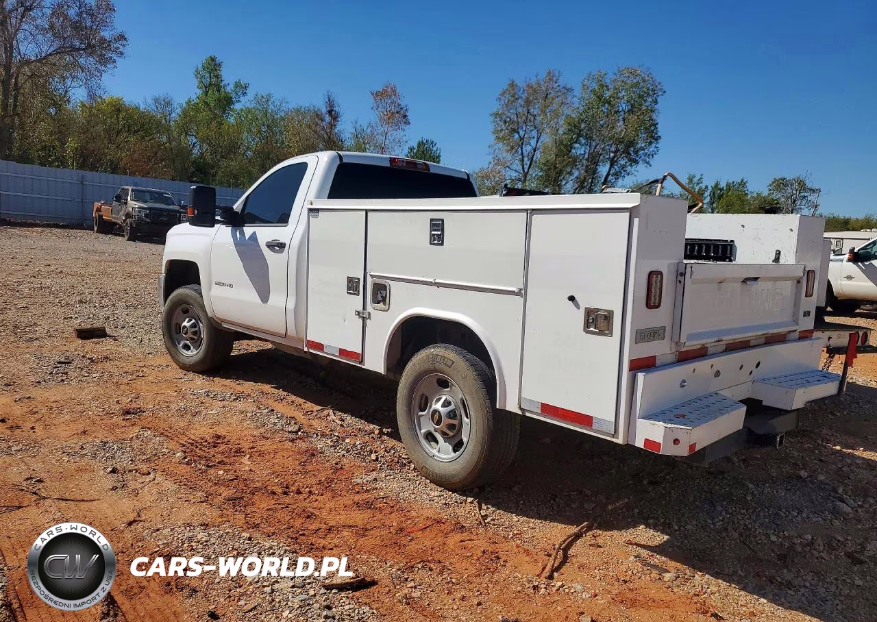 2019 Chevrolet Silverado K2500 Heavy Duty VIN:1GB0KREG2KF247805 - 2