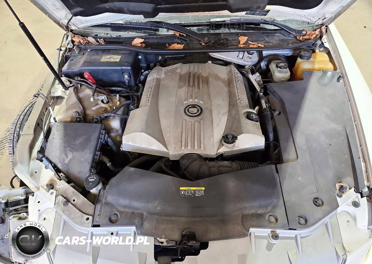 2007 Cadillac Sts VIN:1G6DC67A570162102 - 11