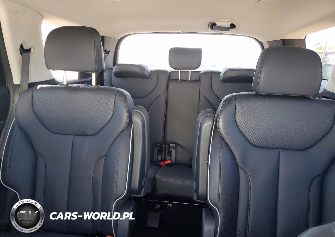 2024 Hyundai Palisade Xrt VIN:KM8R3DGE0RU680216 - 10