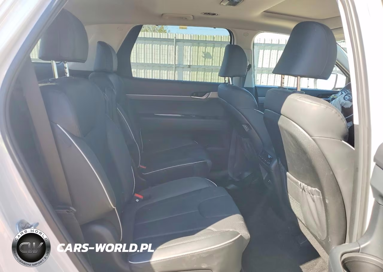 2024 Hyundai Palisade Xrt VIN:KM8R3DGE0RU680216 - 11