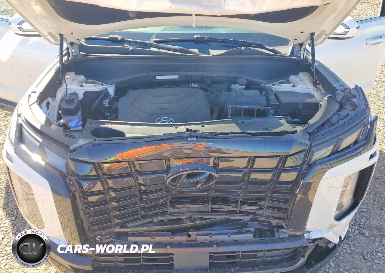 2024 Hyundai Palisade Xrt VIN:KM8R3DGE0RU680216 - 12