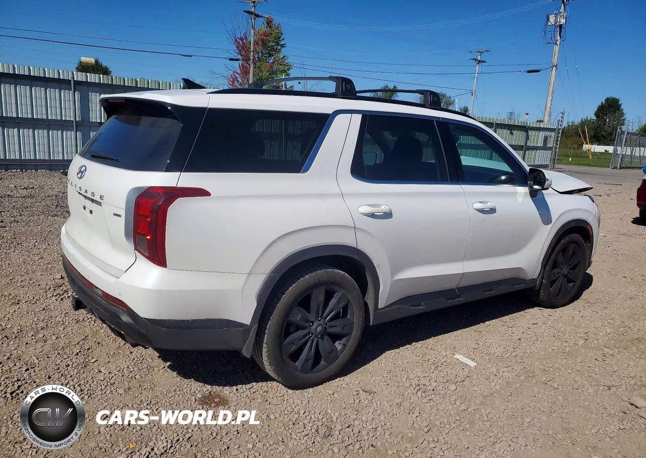 2024 Hyundai Palisade Xrt VIN:KM8R3DGE0RU680216 - 3