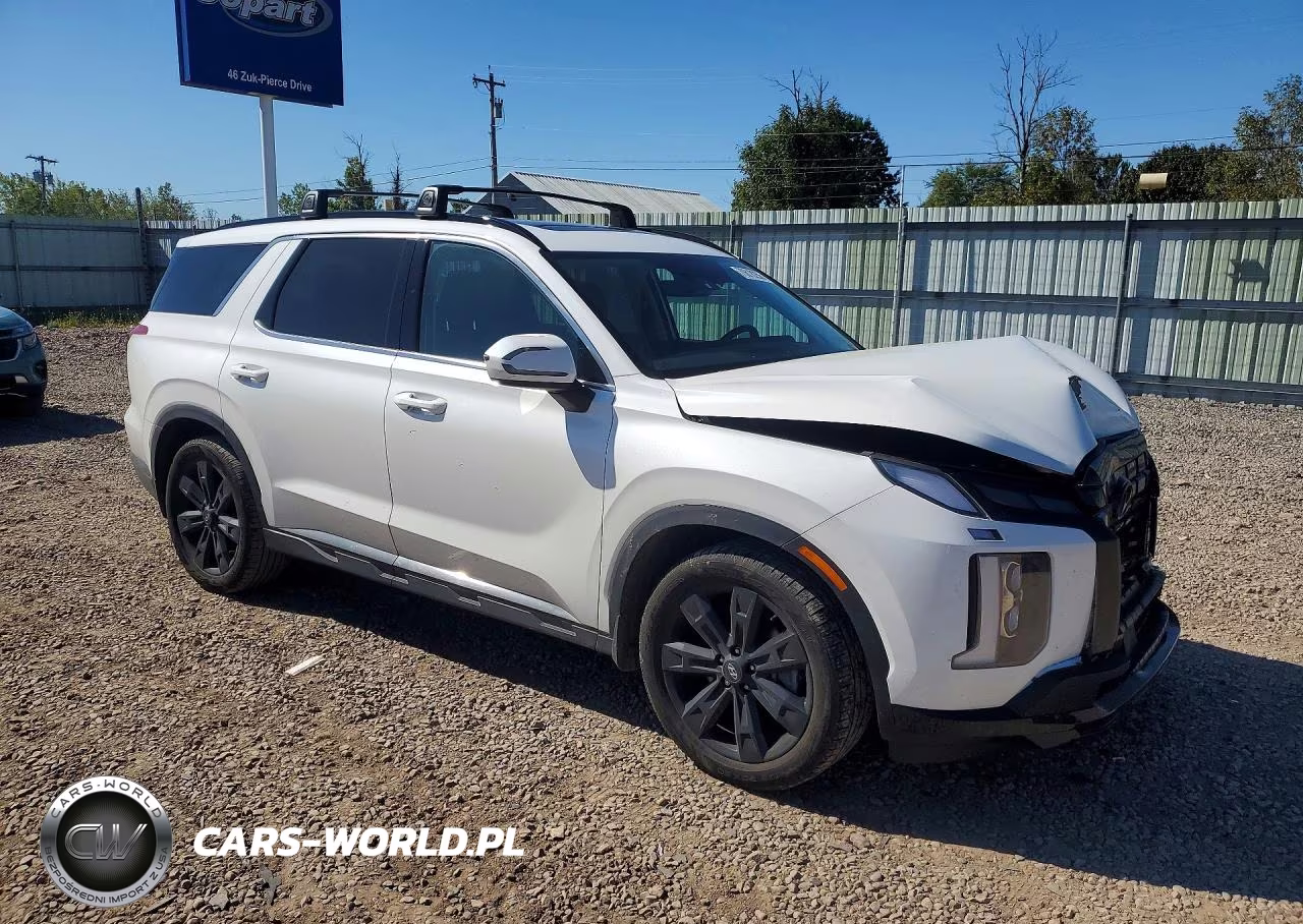 2024 Hyundai Palisade Xrt VIN:KM8R3DGE0RU680216 - 4