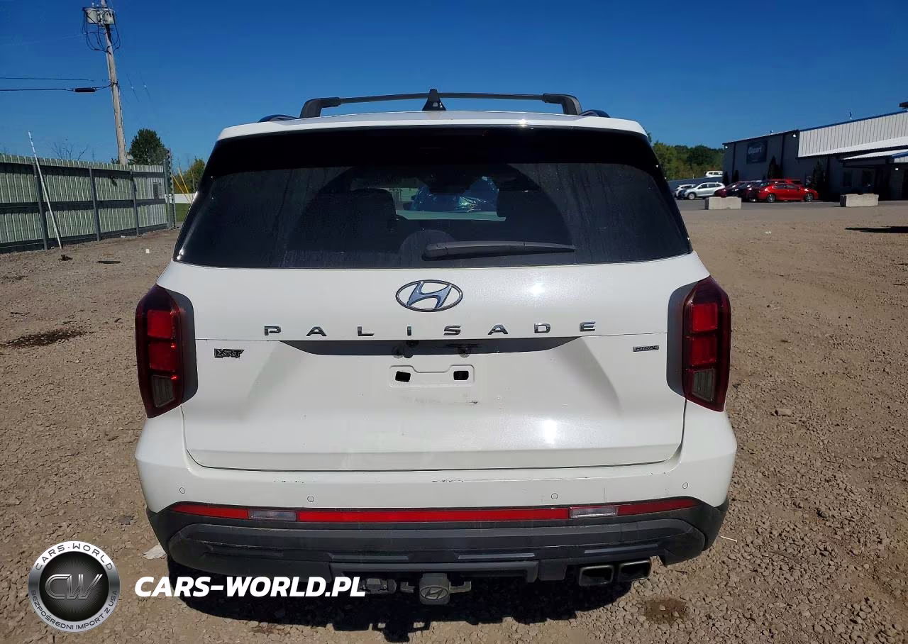 2024 Hyundai Palisade Xrt VIN:KM8R3DGE0RU680216 - 6