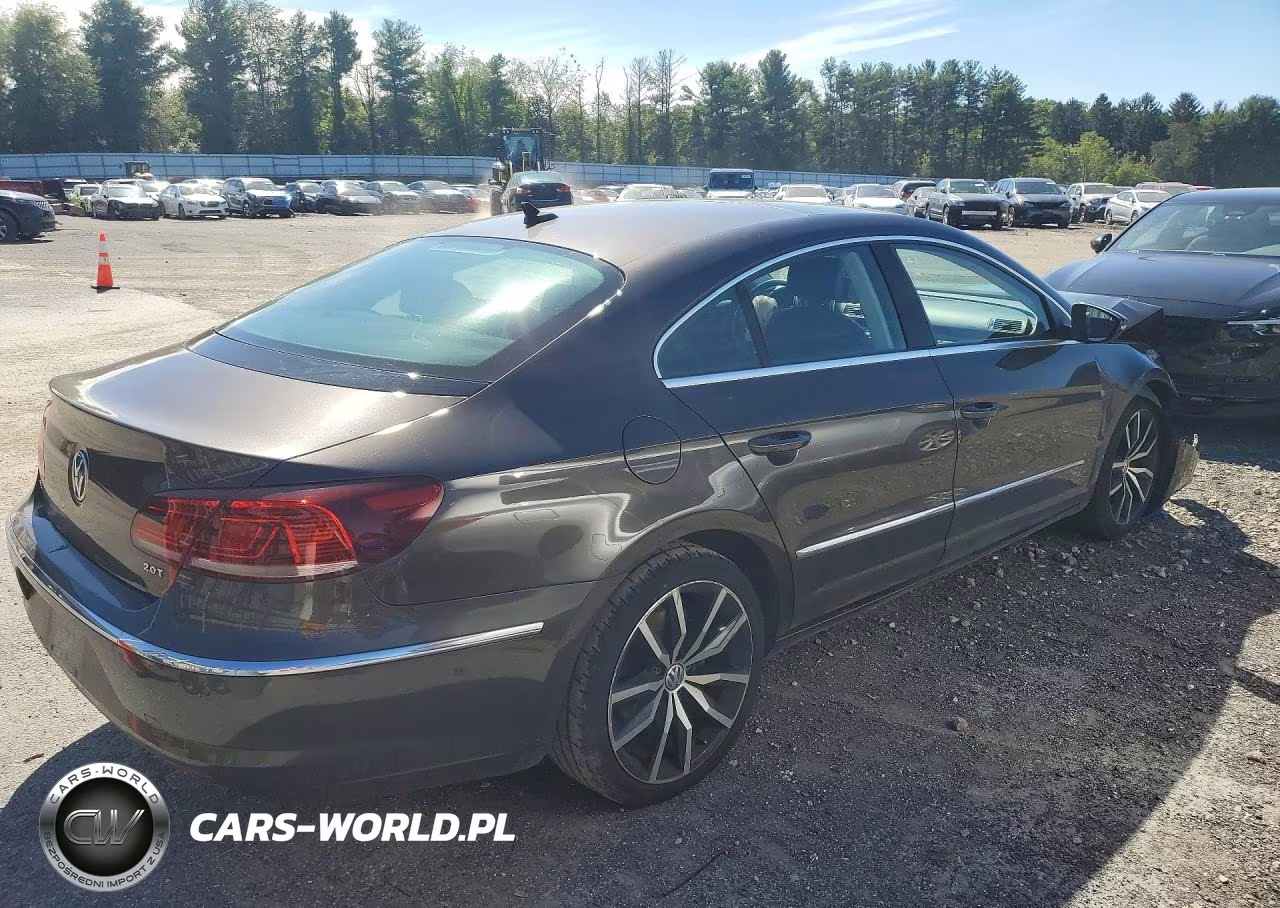 2015 Volkswagen Cc Executive VIN:WVWRP7AN3FE818212 - 3