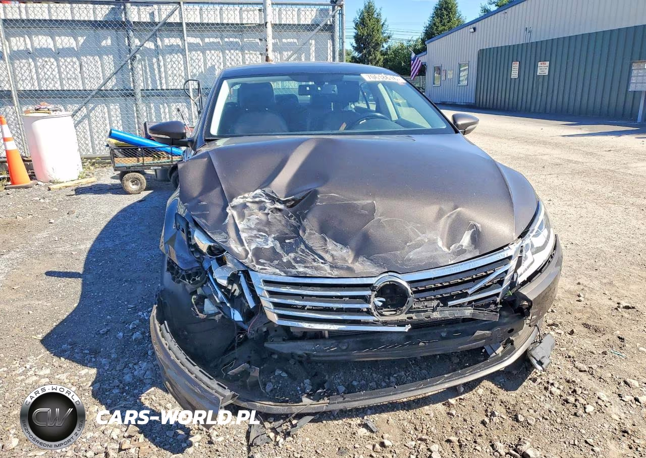 2015 Volkswagen Cc Executive VIN:WVWRP7AN3FE818212 - 5