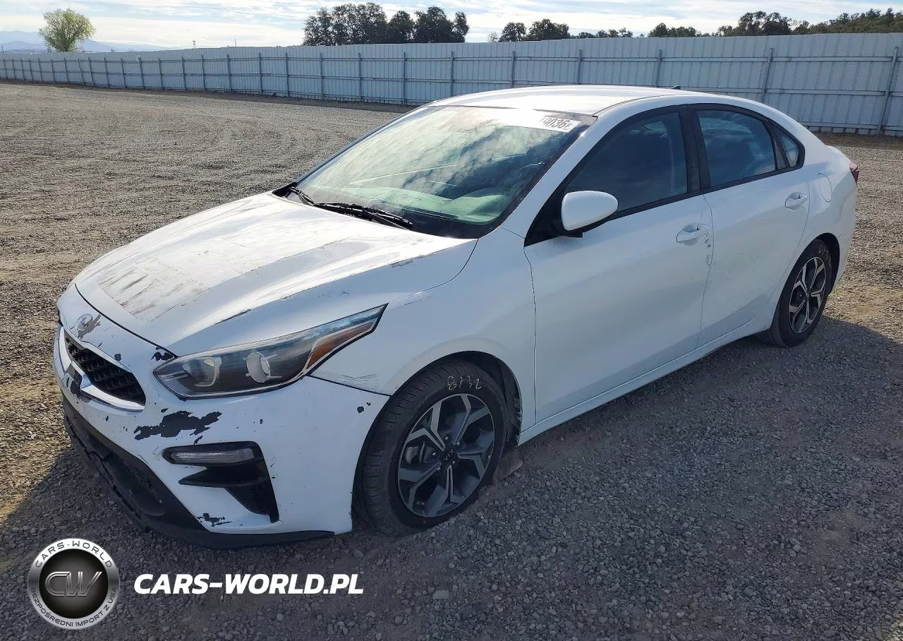 2019 Kia Forte Lxs