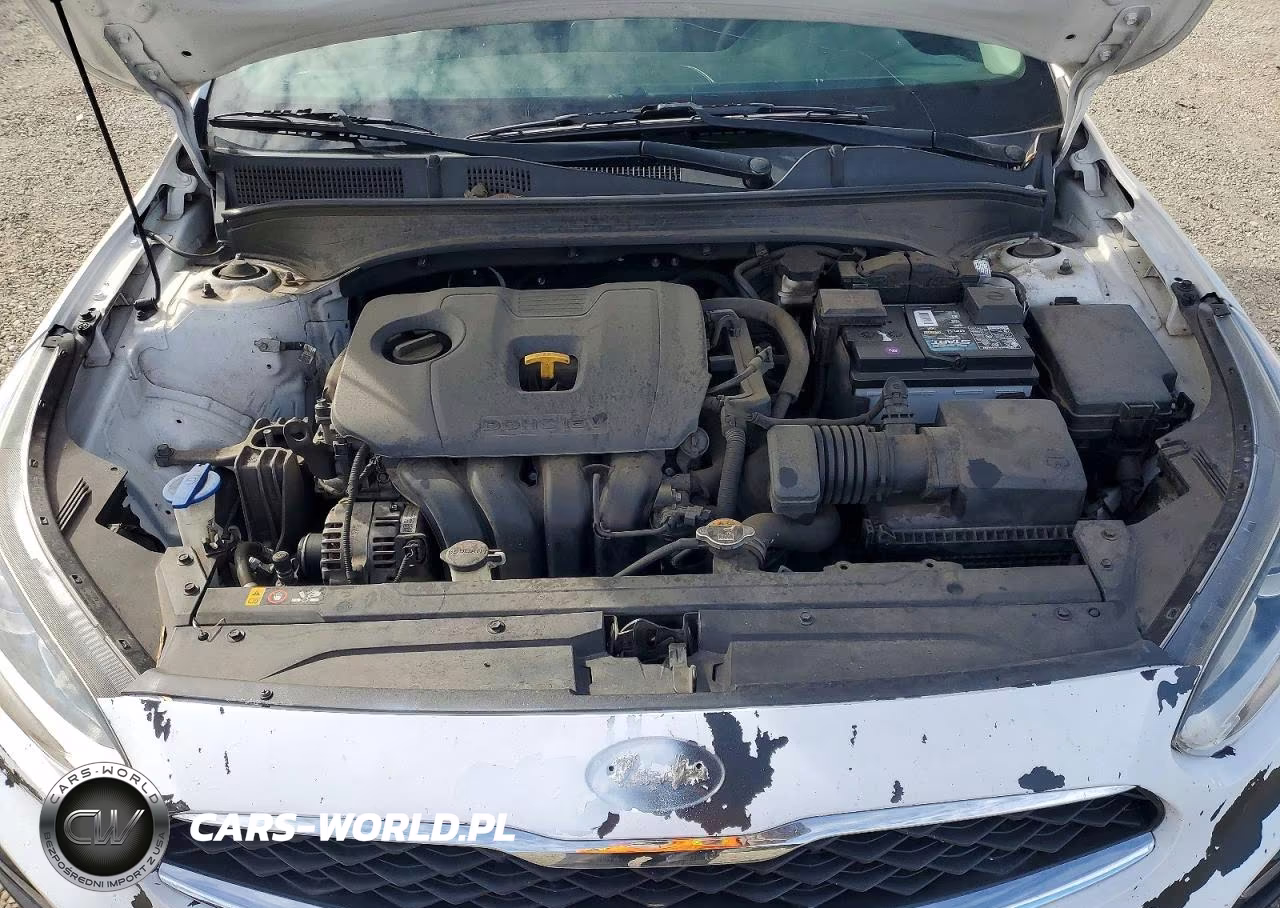 2019 Kia Forte Lxs VIN:3KPF24AD3KE029399 - 11