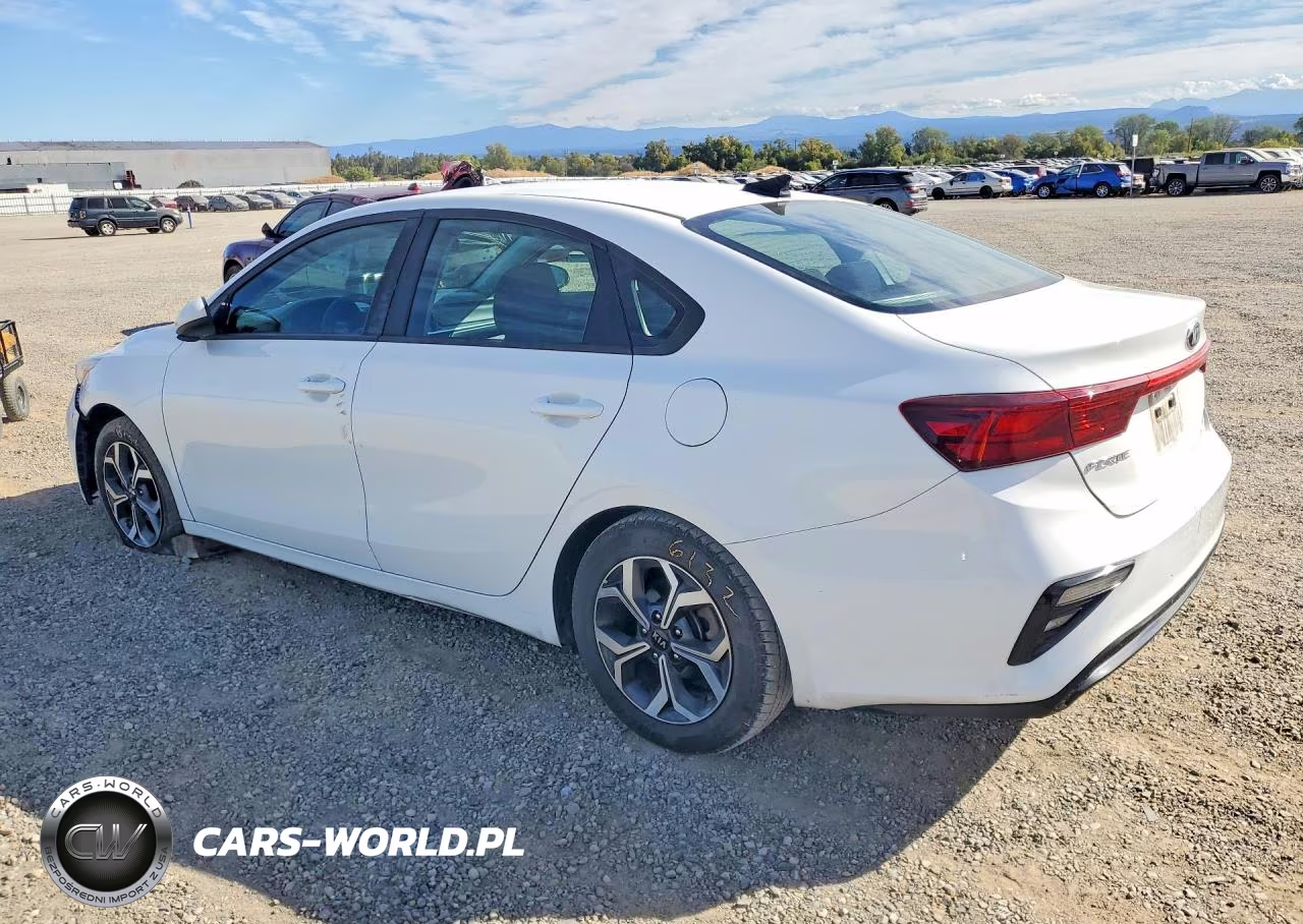 2019 Kia Forte Lxs VIN:3KPF24AD3KE029399 - 2