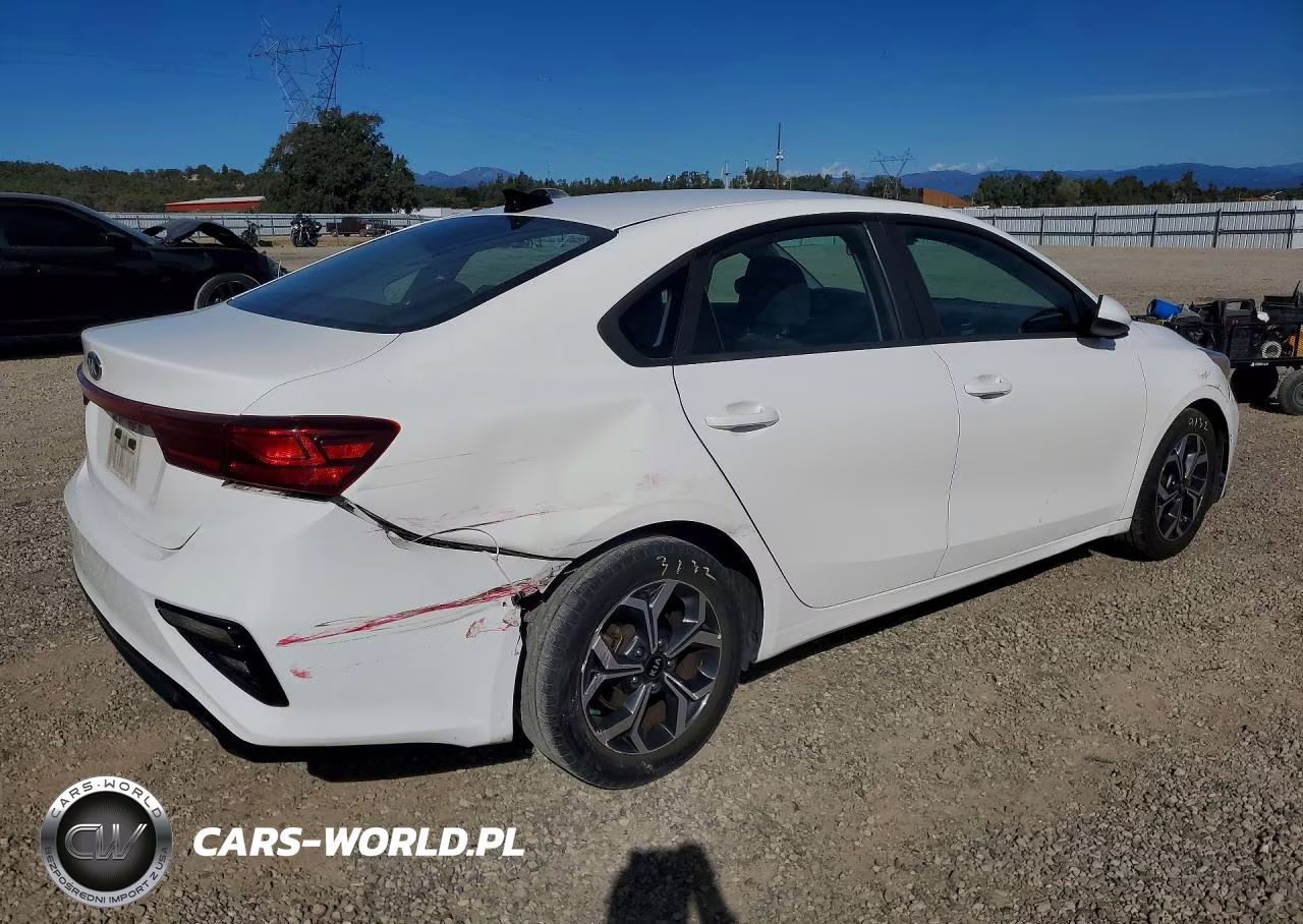 2019 Kia Forte Lxs VIN:3KPF24AD3KE029399 - 3