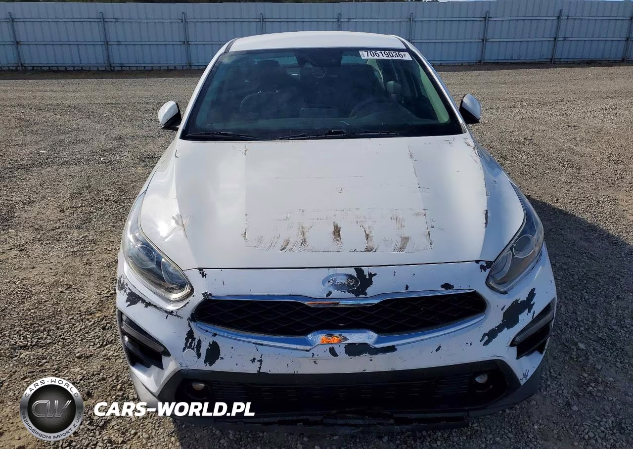 2019 Kia Forte Lxs VIN:3KPF24AD3KE029399 - 5