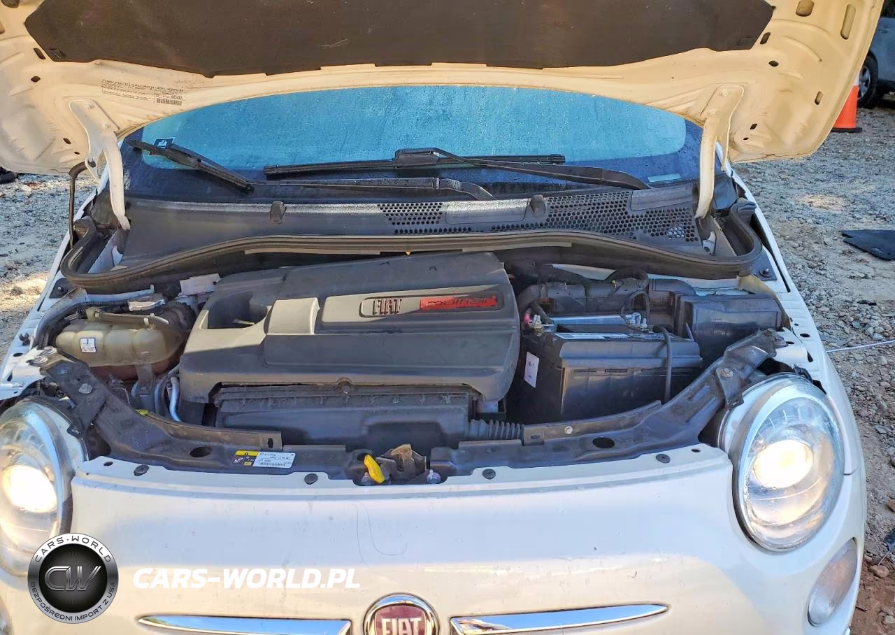 2013 Fiat 500 Lounge VIN:3C3CFFER6DT529407 - 11
