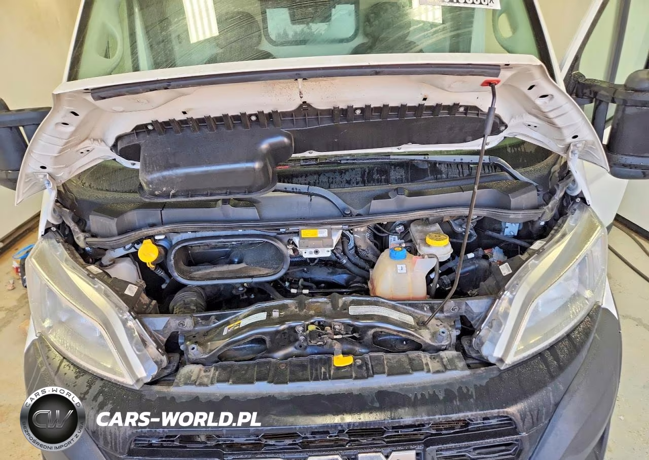 2023 Ram Promaster 2500 Vf Delivery Van VIN:3C6LRVDGXPE545381 - 11
