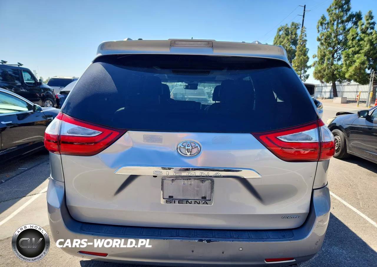 2018 Toyota Sienna Limited Premium 7-Passenger VIN:5TDYZ3DC3JS924011 - 6