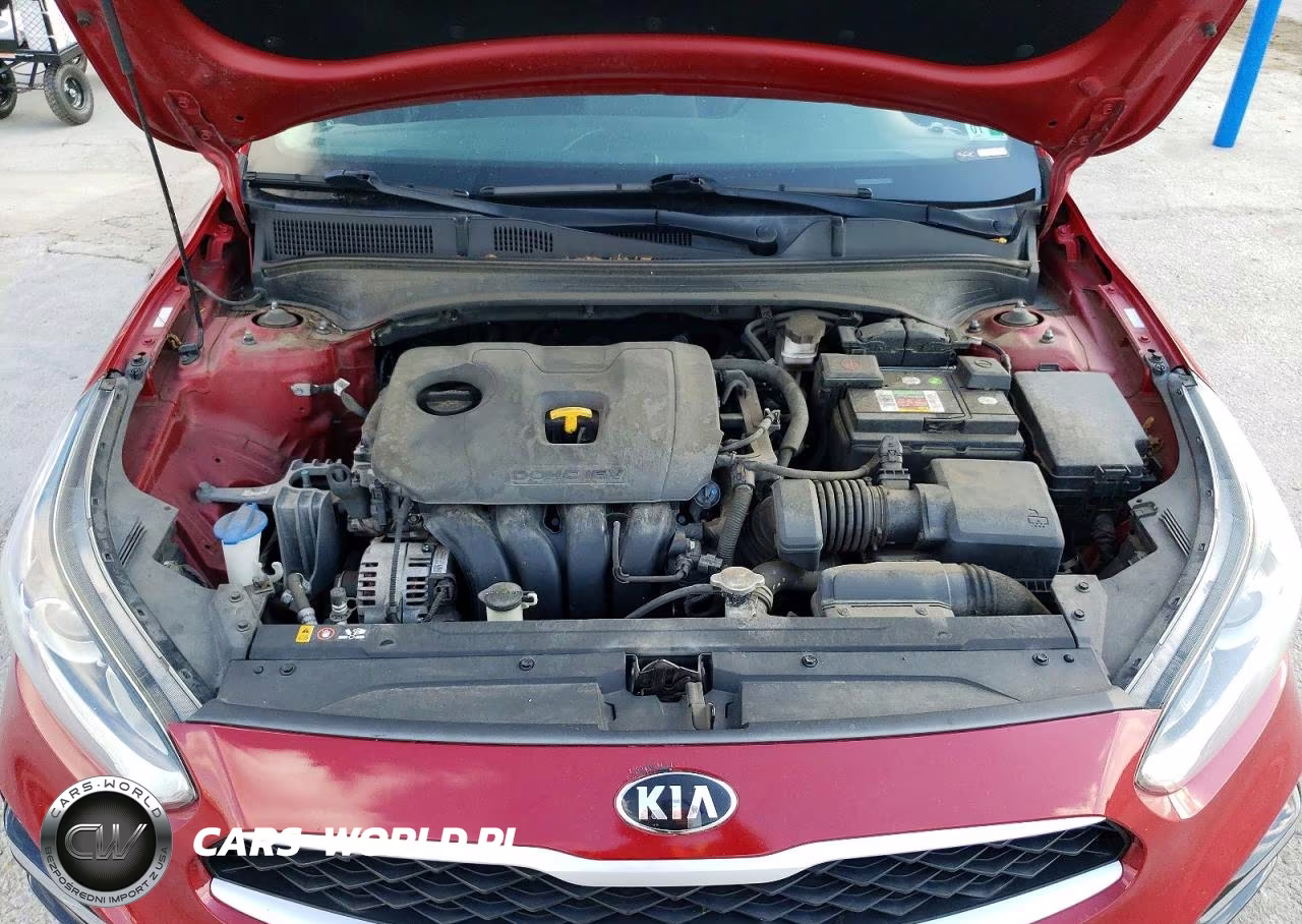 2019 Kia Forte Lxs VIN:3KPF24ADXKE037015 - 11