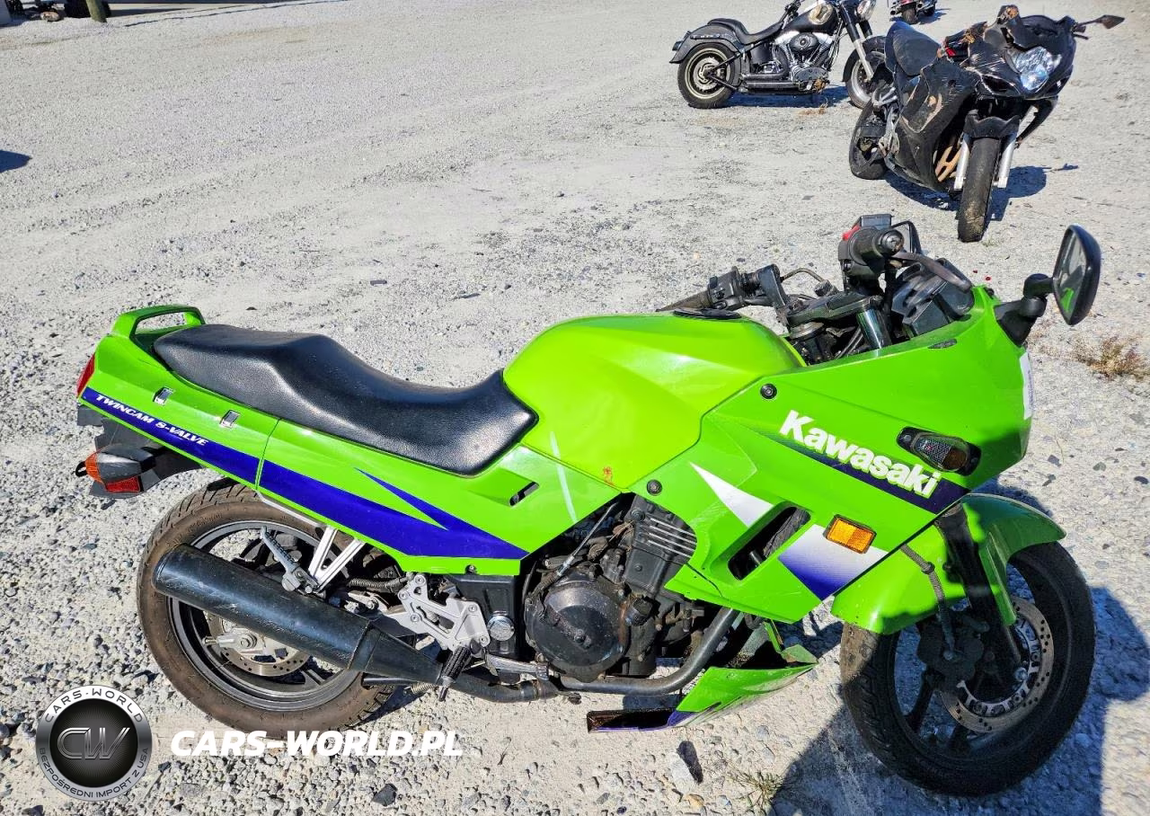 2001 Kawasaki Ex250 F