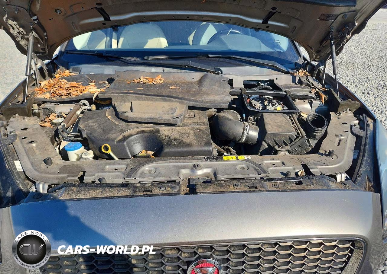 2019 Jaguar E-Pace Se VIN:SADFP2FX1K1Z35616 - 12