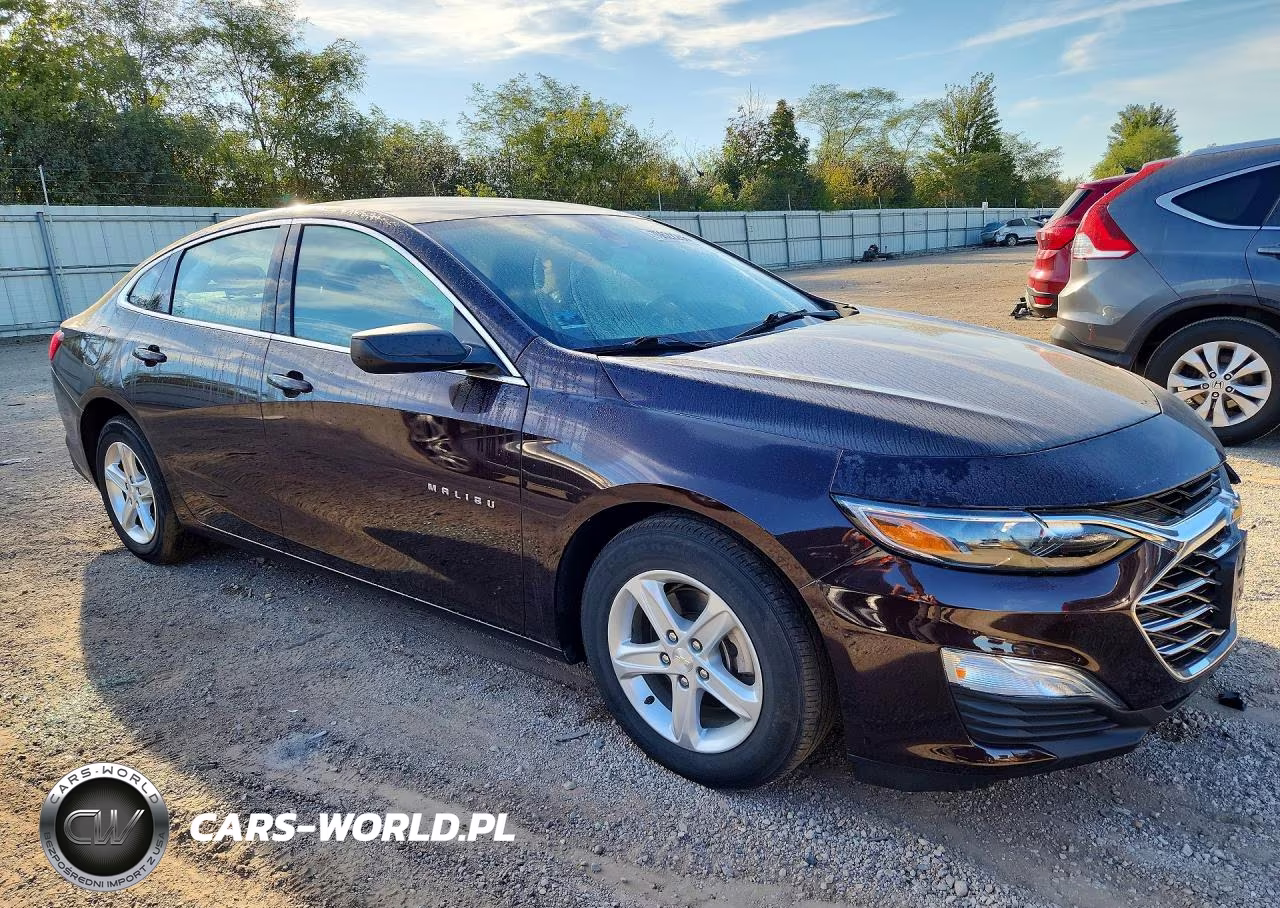 2020 Chevrolet Malibu Ls VIN:1G1ZB5ST4LF142237 - 4