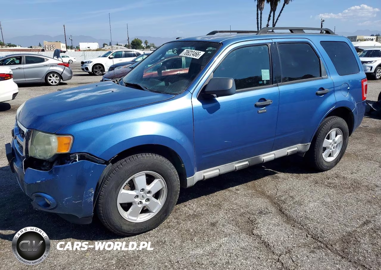 2010 Ford Escape Xlt