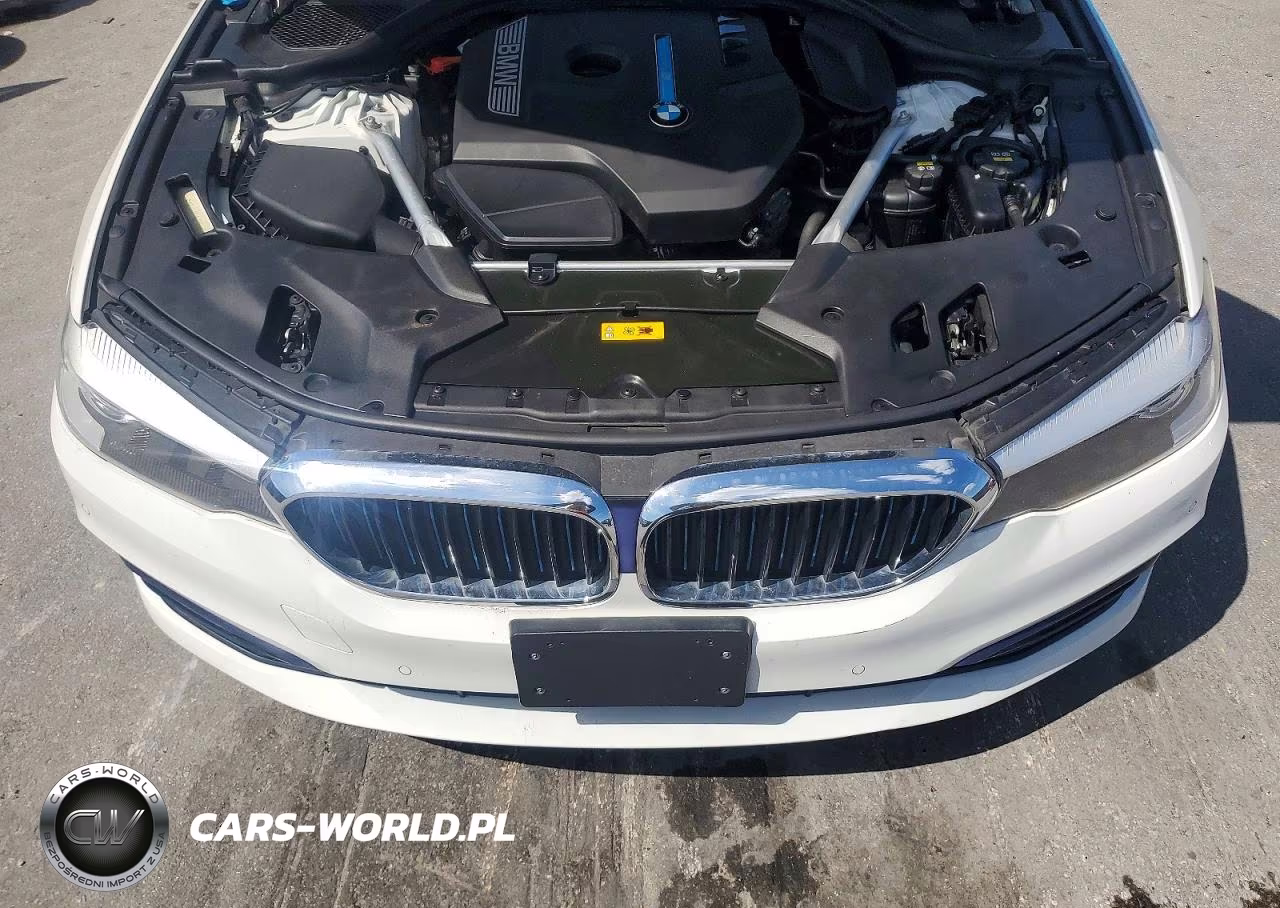 2019 BMW 530E VIN:WBAJA9C56KB393567 - 11