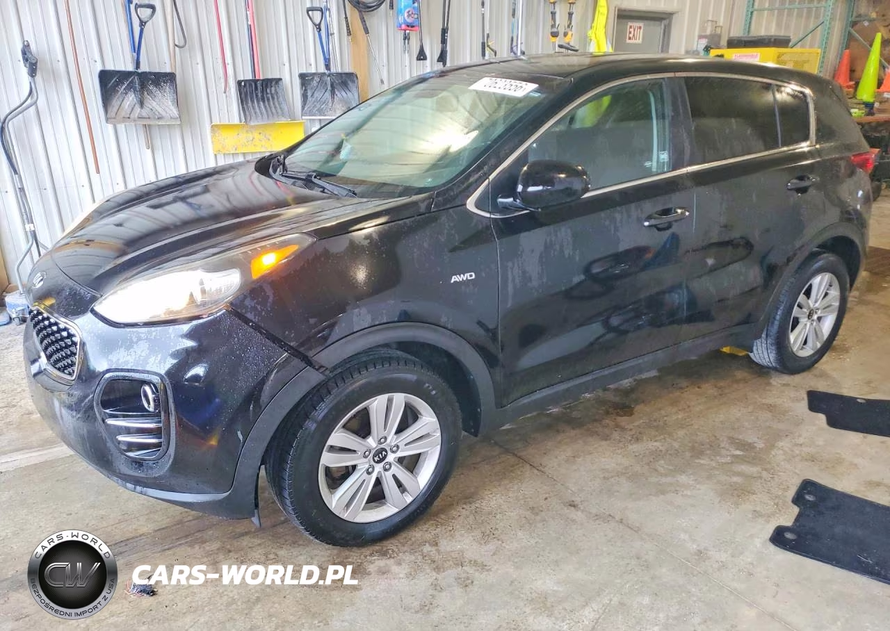 2017 Kia Sportage Lx VIN:KNDPMCAC3H7186813 - 1
