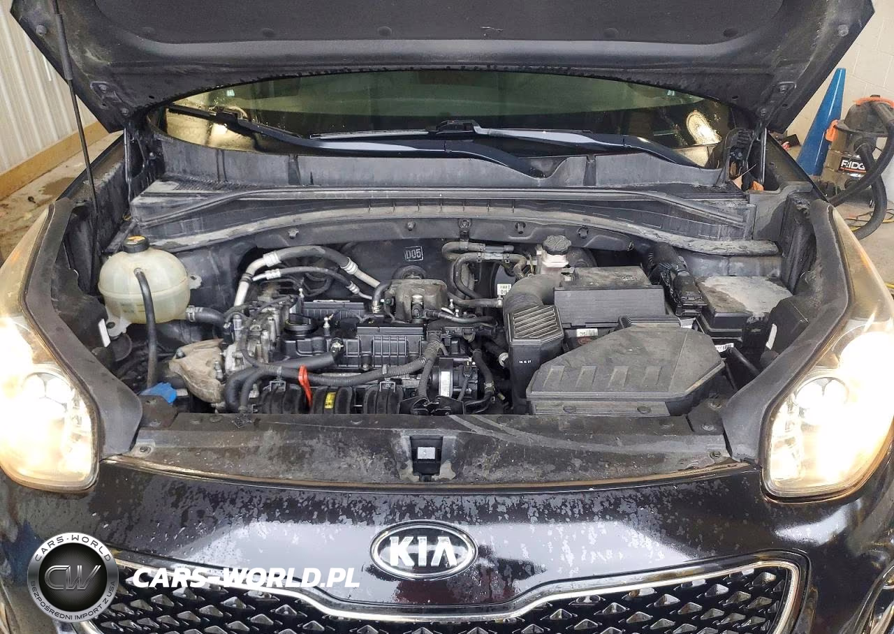 2017 Kia Sportage Lx VIN:KNDPMCAC3H7186813 - 11