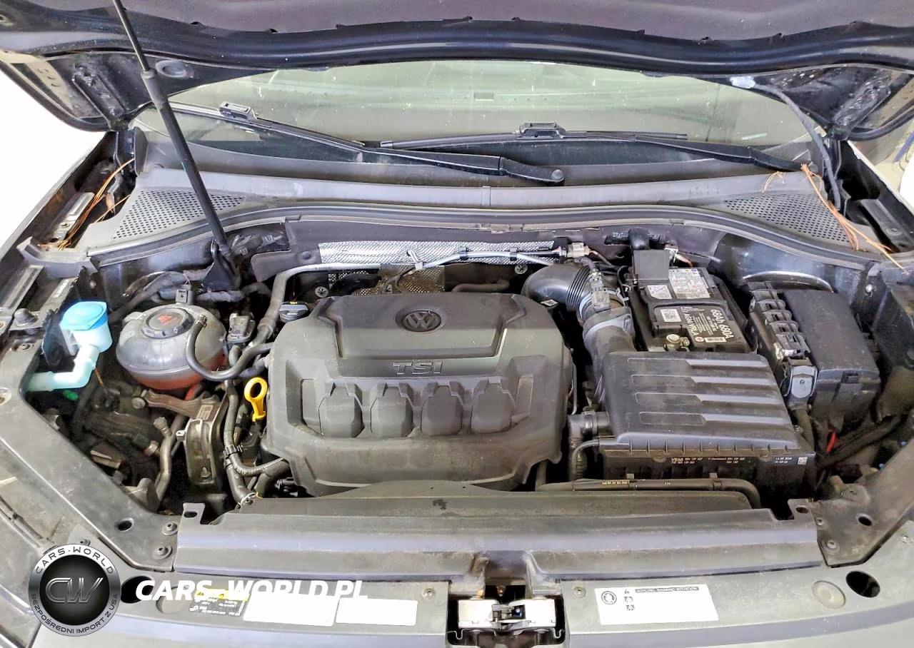 2019 Volkswagen Tiguan Se VIN:3VV2B7AX4KM010796 - 12