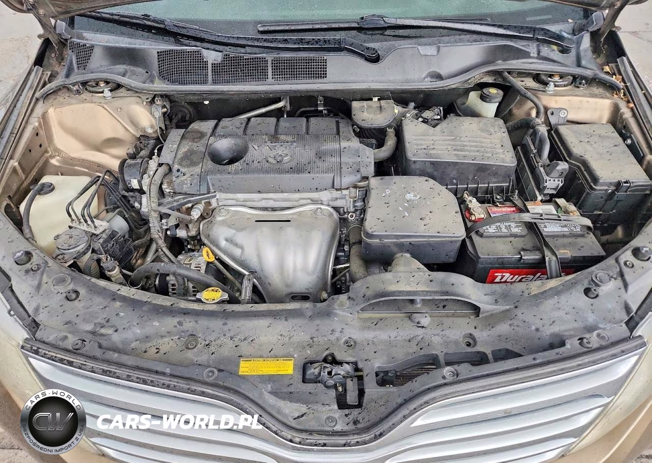 2010 Toyota Venza Fwd 4Cyl VIN:4T3ZA3BB2AU028433 - 12