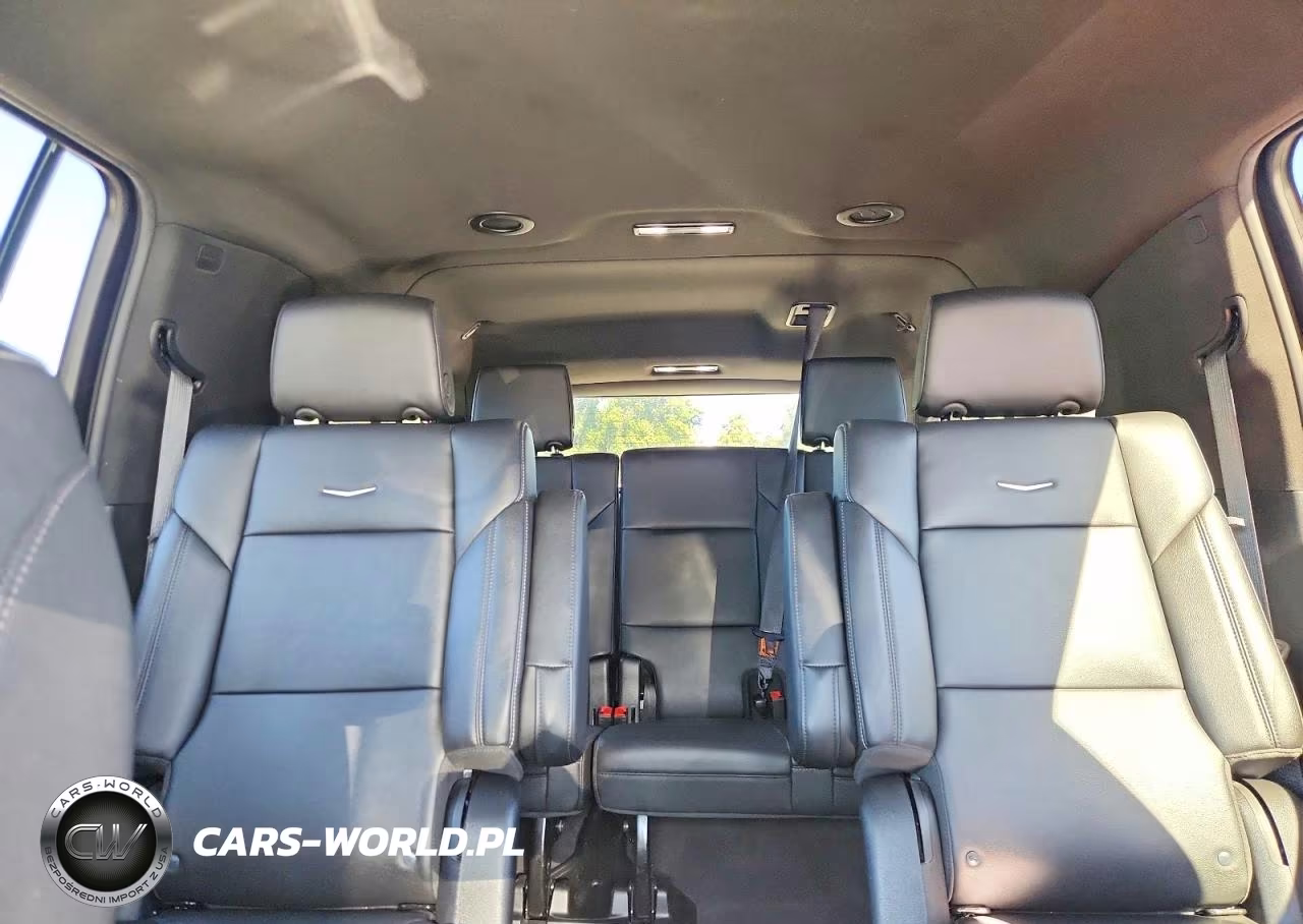 2024 Cadillac Escalade Esv Luxury VIN:1GYS4JKT3RR209567 - 10