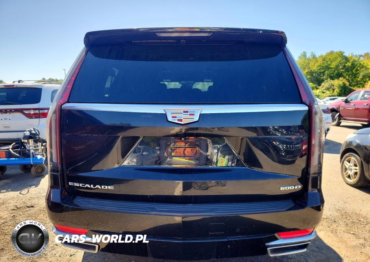 2024 Cadillac Escalade Esv Luxury VIN:1GYS4JKT3RR209567 - 6