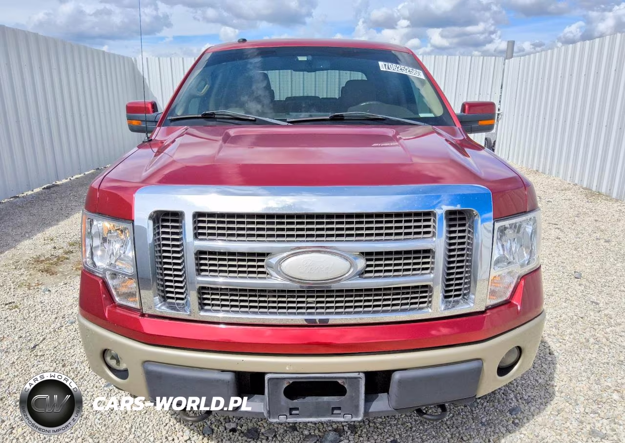 2009 Ford F-150 VIN:1FTPW14V59FA84593 - 5