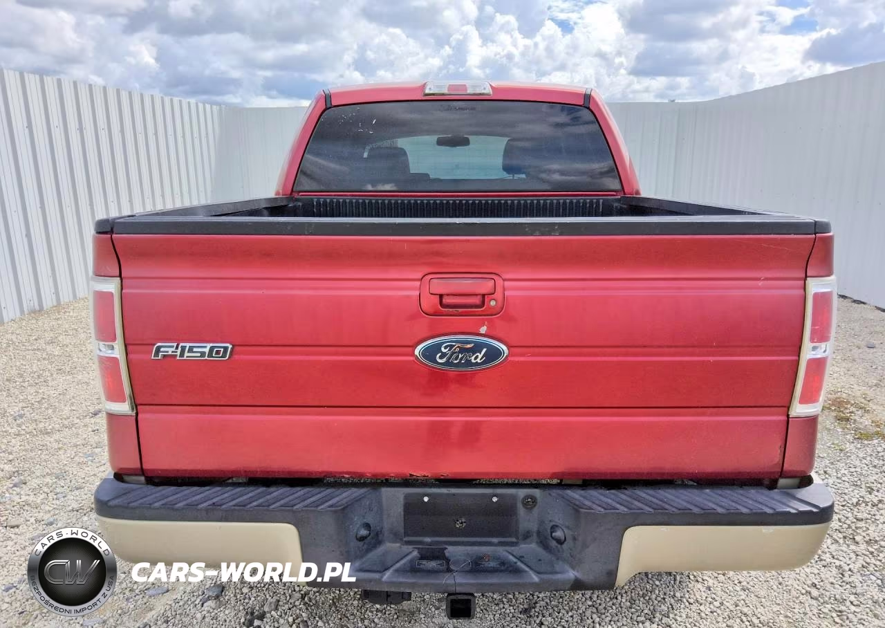 2009 Ford F-150 VIN:1FTPW14V59FA84593 - 6
