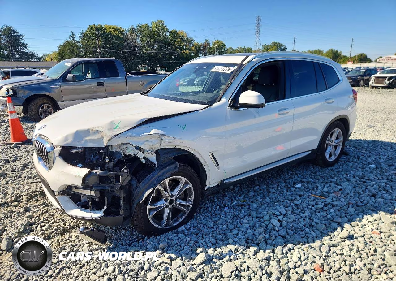 2019 BMW X3 Sdrive30I VIN:5UXTR7C55KLR51636 - 1