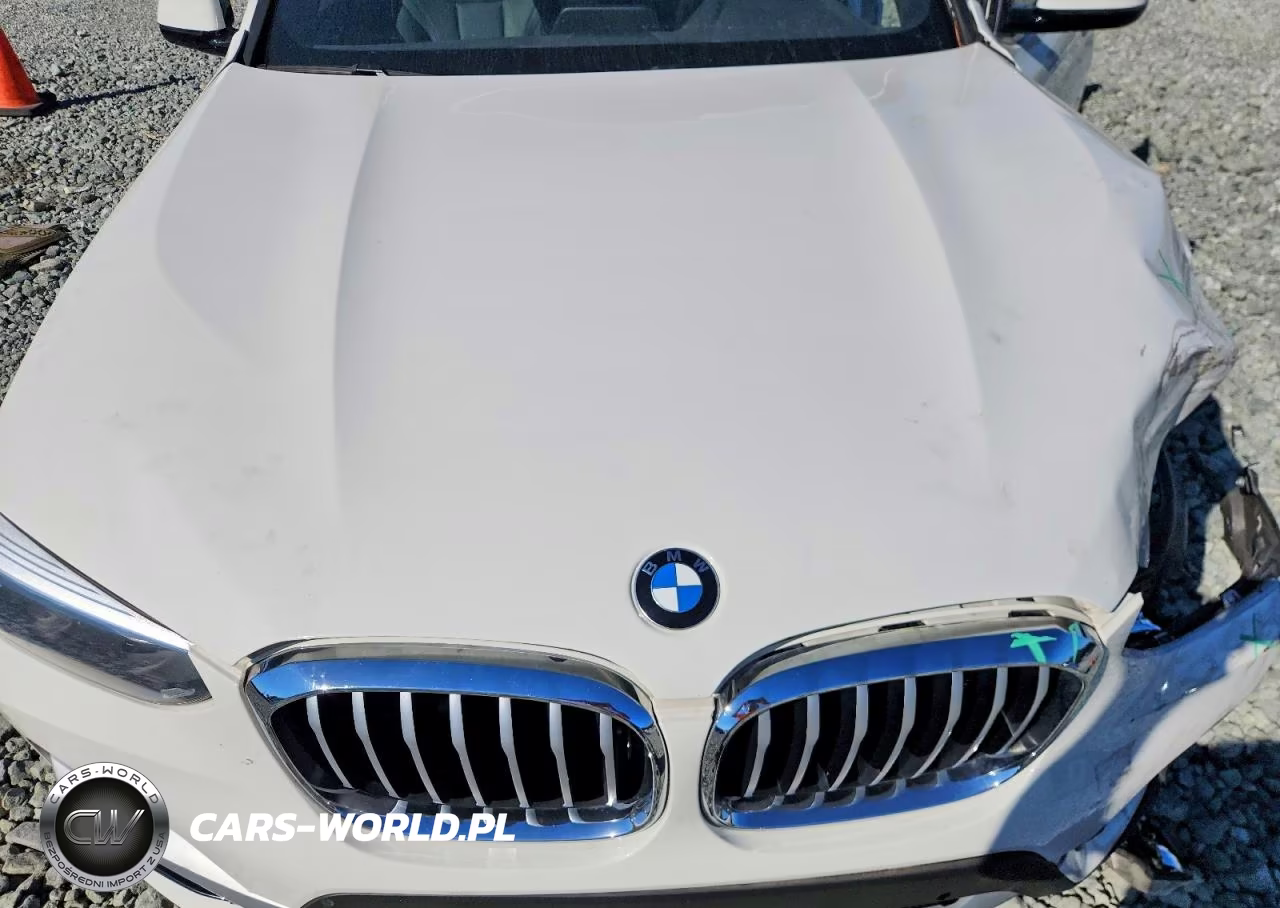 2019 BMW X3 Sdrive30I VIN:5UXTR7C55KLR51636 - 12