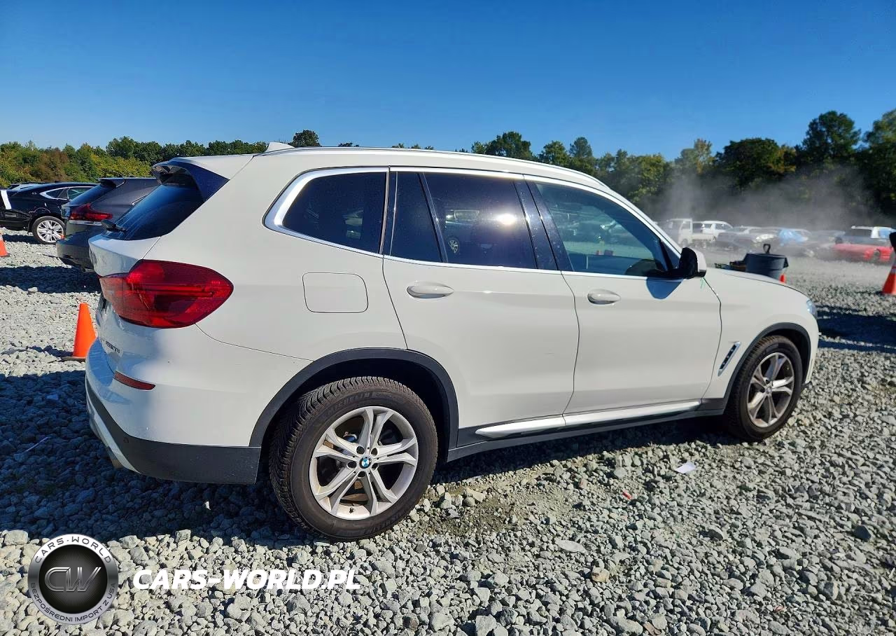 2019 BMW X3 Sdrive30I VIN:5UXTR7C55KLR51636 - 3
