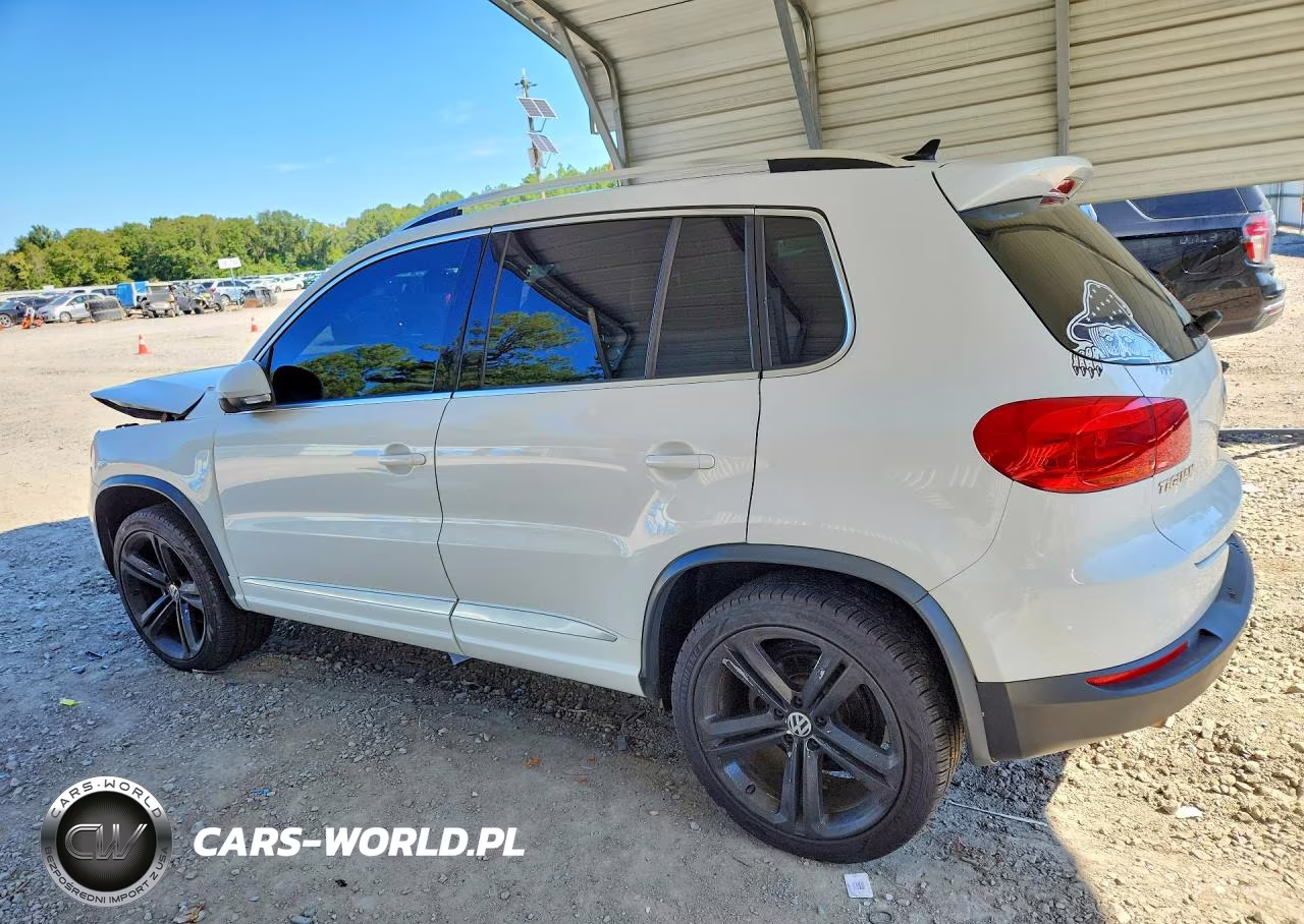2014 Volkswagen Tiguan S VIN:WVGBV3AX9EW098310 - 2