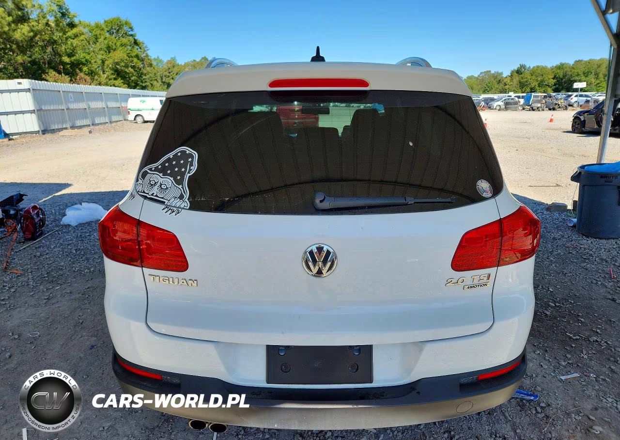 2014 Volkswagen Tiguan S VIN:WVGBV3AX9EW098310 - 6