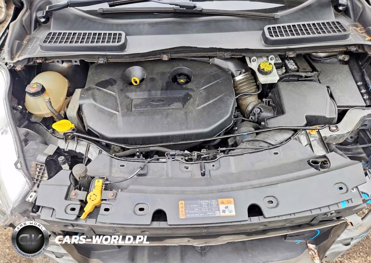 2018 Ford Escape Se VIN:1FMCU0G94JUB62564 - 12