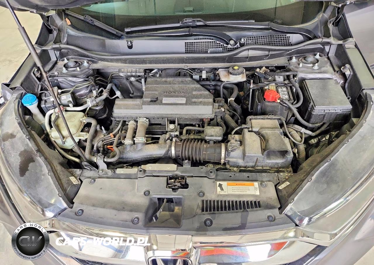 2019 Honda Cr-V Ex VIN:5J6RW1H56KL005162 - 12
