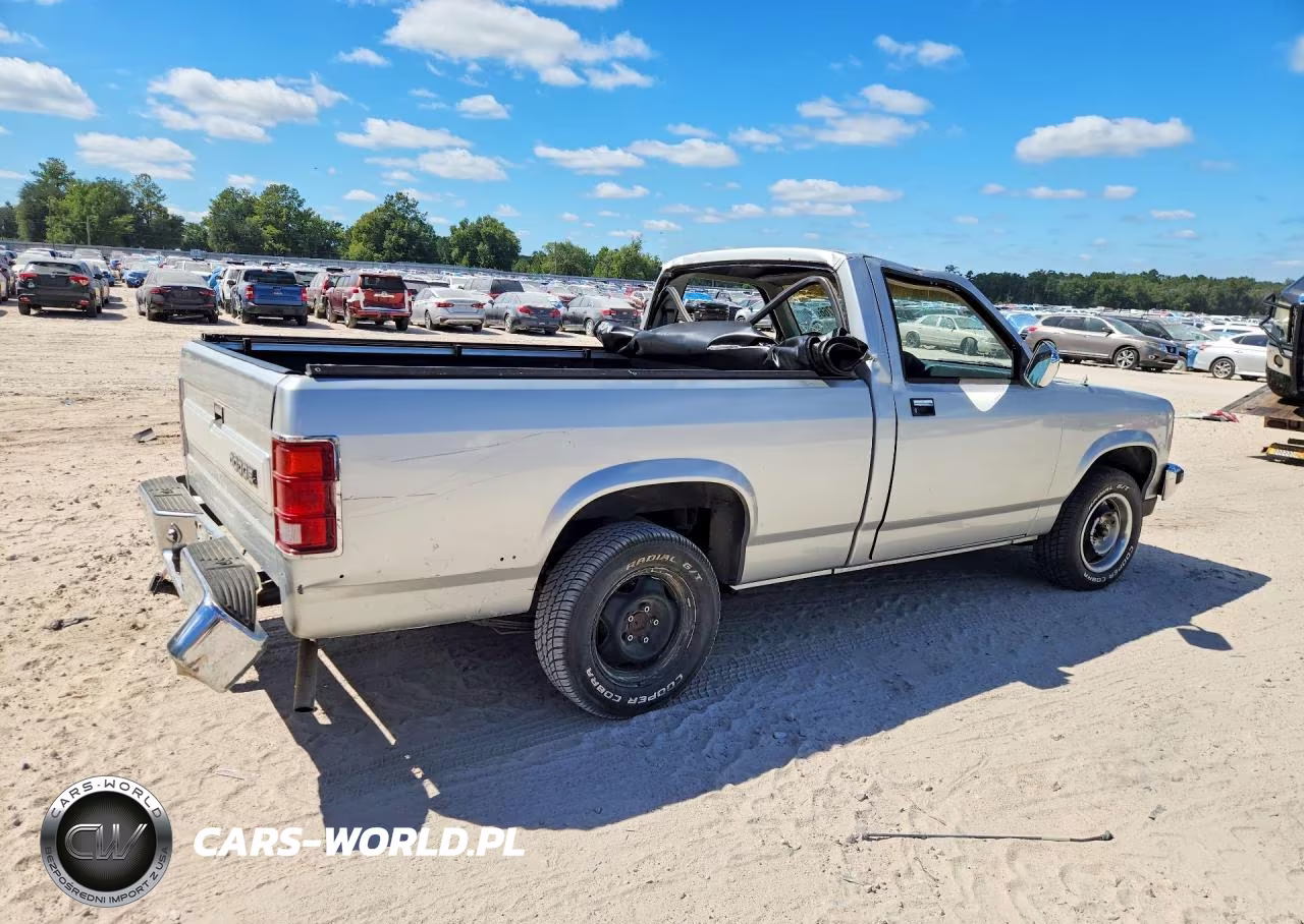 1988 Dodge Dakota VIN:1B7FN14XXJS796402 - 3