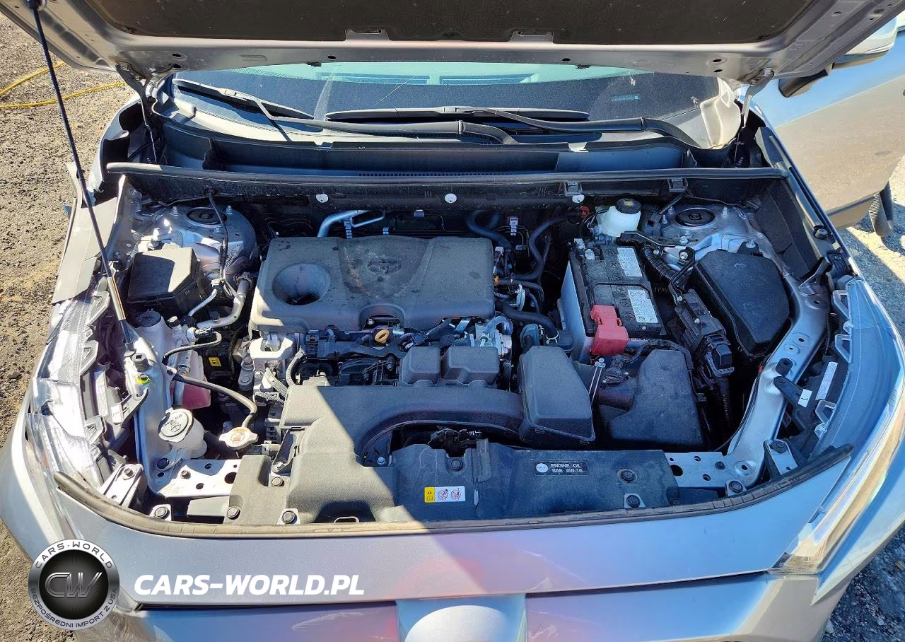 2025 Toyota Rav4 Xle VIN:2T3P1RFV2SC498902 - 12