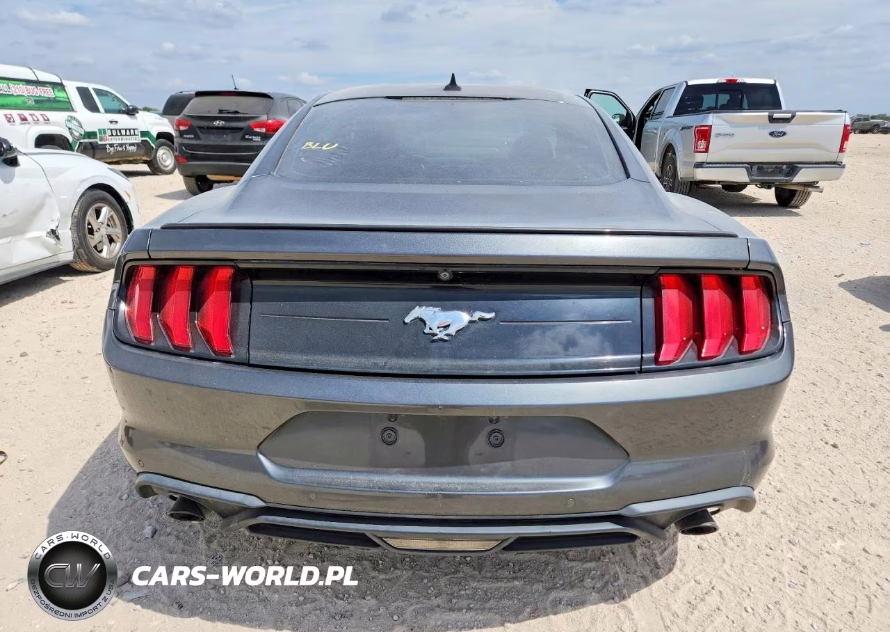 2020 Ford Mustang VIN:1FA6P8TH2L5138626 - 6