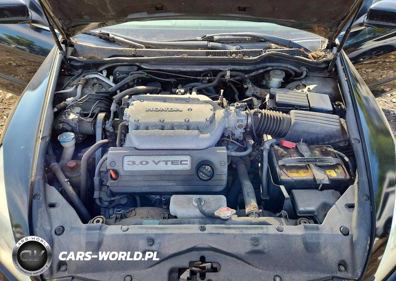 2007 Honda Accord Ex VIN:1HGCM66557A006406 - 11