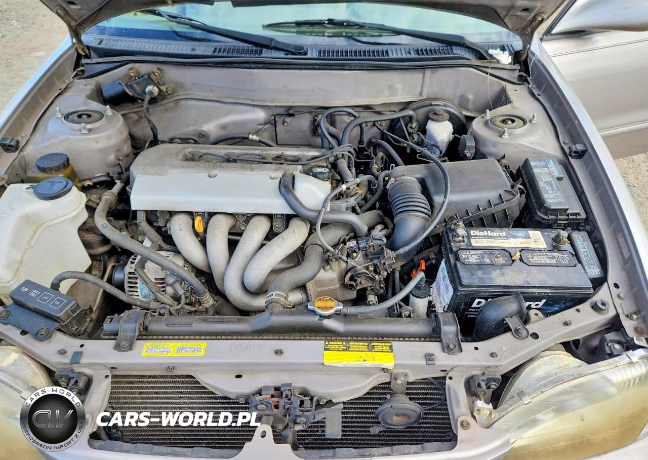 1998 Toyota Corolla Ve VIN:2T1BR18E9WC036076 - 11