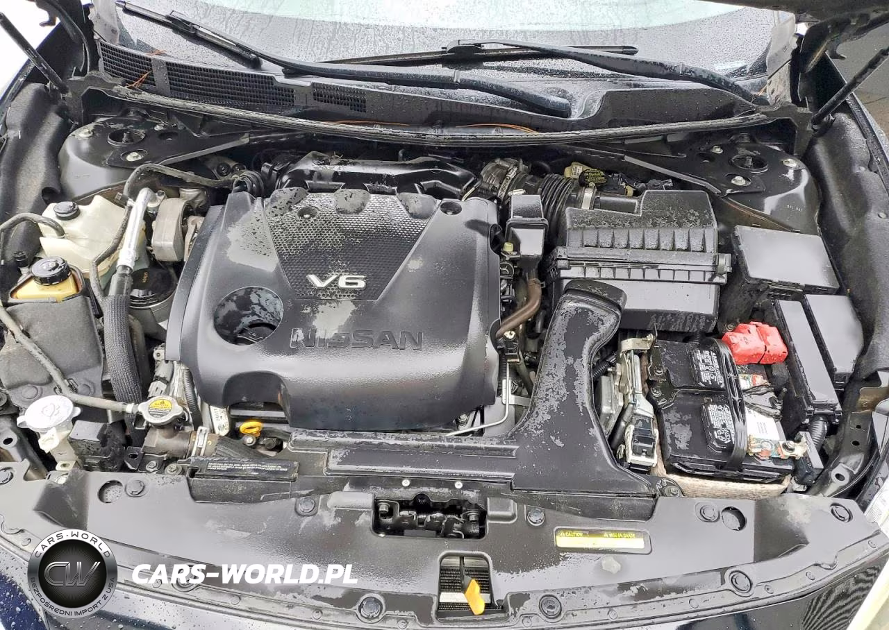 2017 Nissan Maxima 3.5 Sl VIN:1N4AA6APXHC376009 - 11