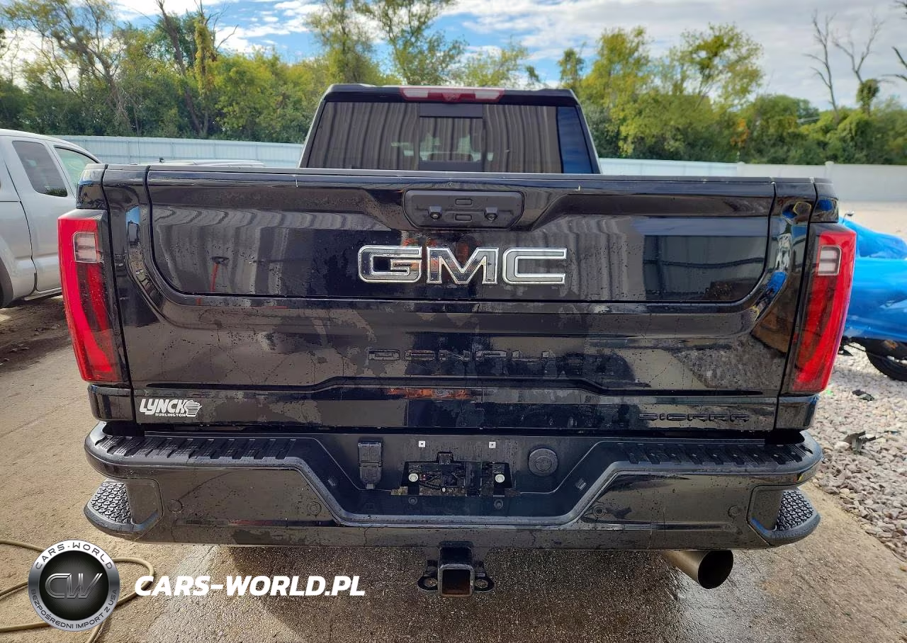 2024 GMC Sierra K3500 Denali Ultimate VIN:1GT49YEY2RF412872 - 6