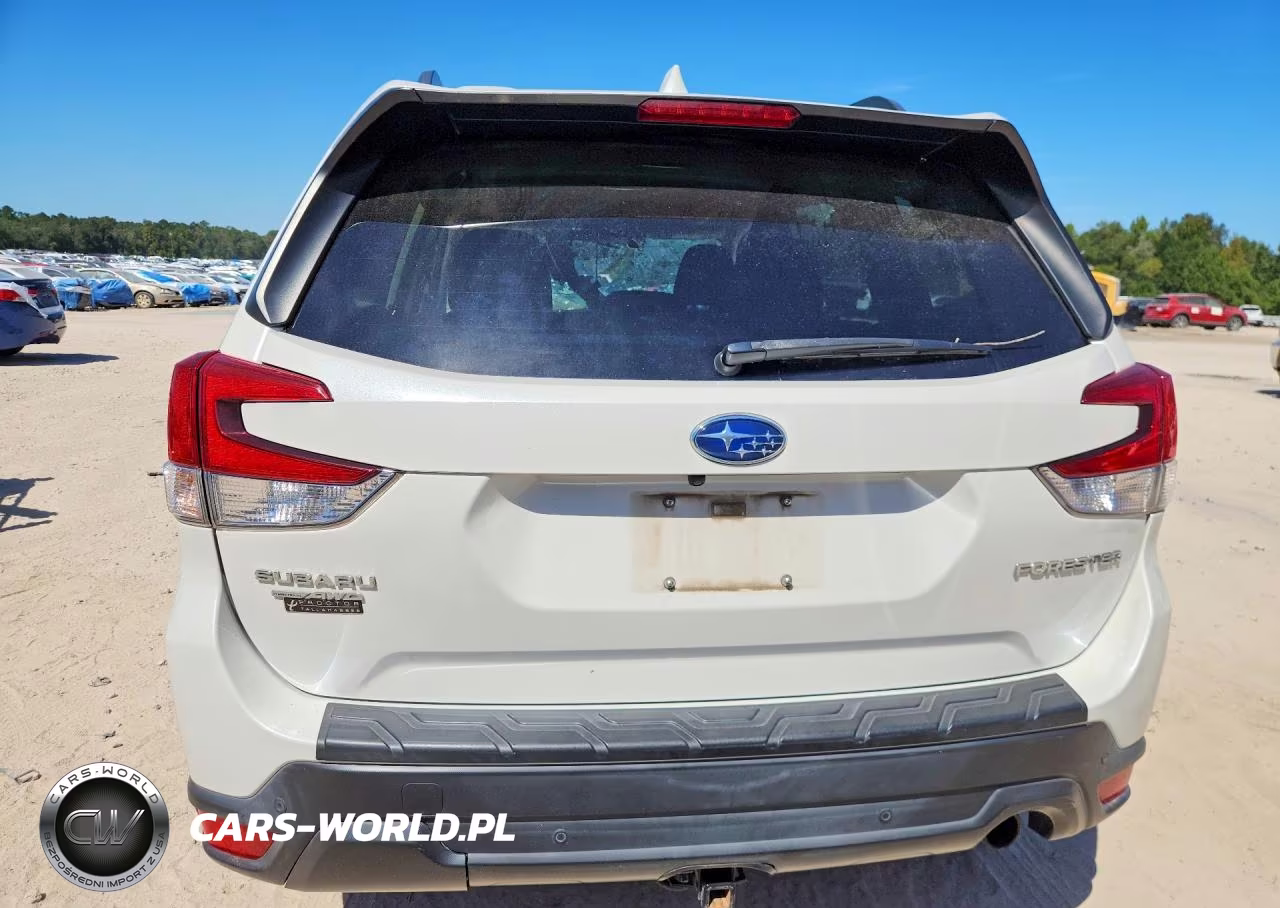 2019 Subaru Forester Limited VIN:JF2SKAUC2KH465401 - 6