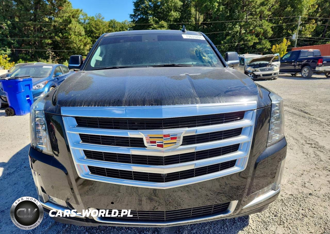 2018 Cadillac Escalade Luxury VIN:1GYS4BKJ8JR259826 - 5